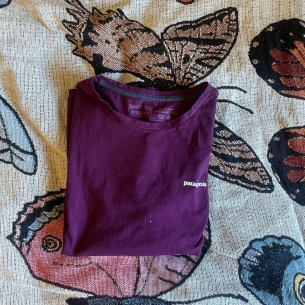 patagonia shirt